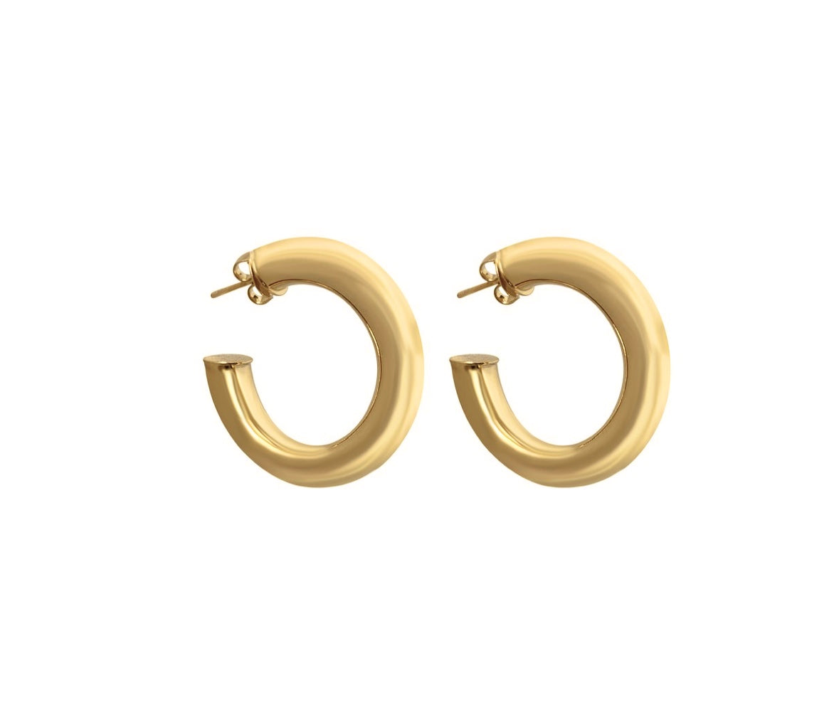 Camille Hoops